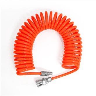 پنجاب یونیورسٹی سرپل ایئر نلی